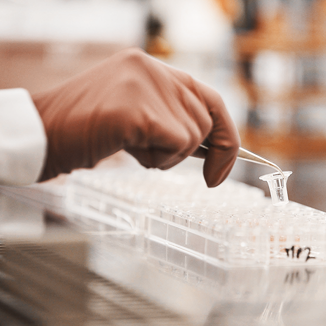 IQOS_сигареты_табак_для нагревания_цвет_зубов_курение